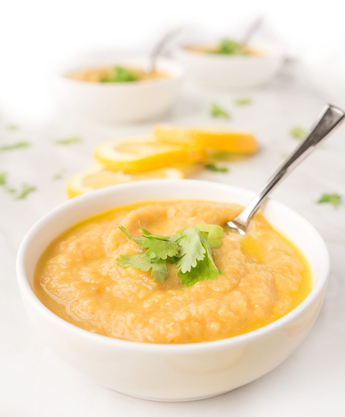 10 Fit & Healthy Freezer Meals | Haute & Healthy Living