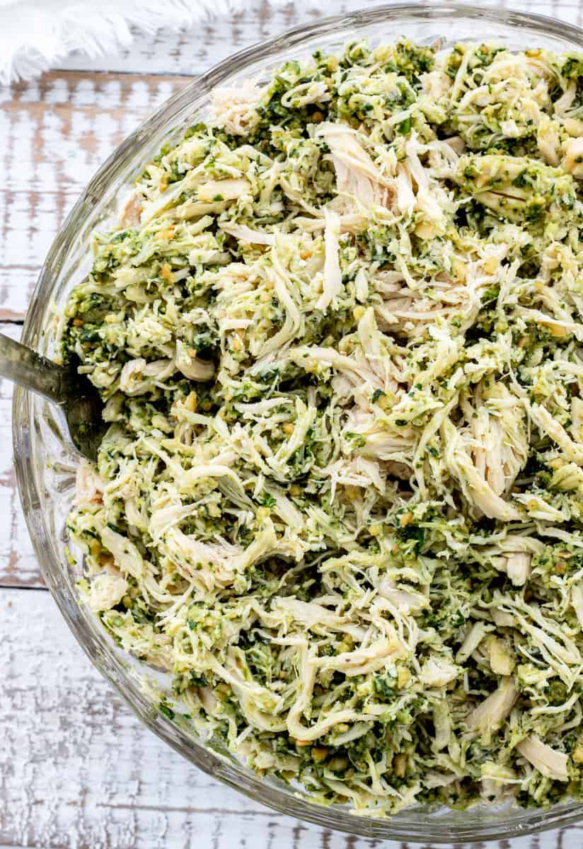 Pesto Chicken Recipe {Glutenfree, Dairyfree & Paleo}