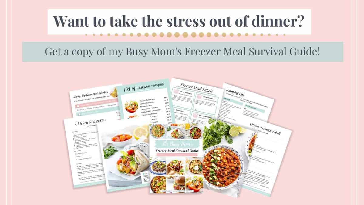 Text: Want to take the stress out of dinner? Get a copy of my Busy Mom's Freeze Meal Survival Guide!