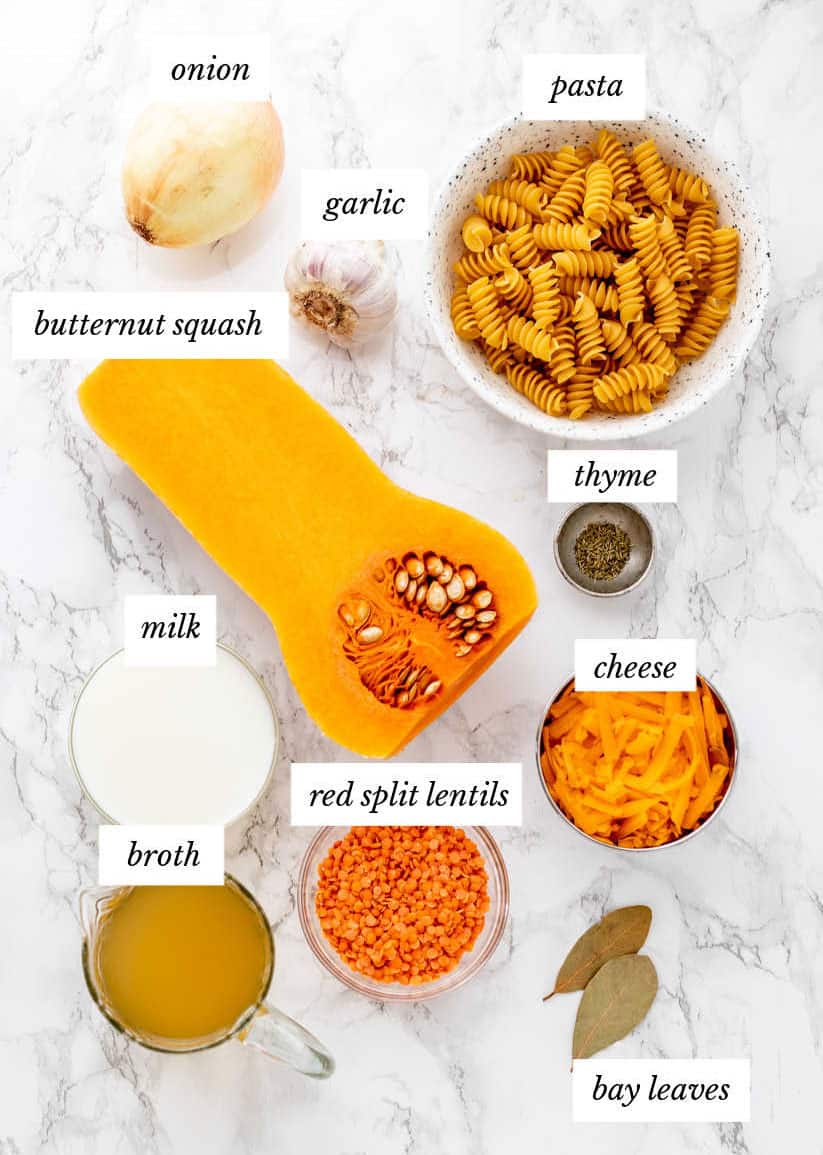 Ingredients for the crockpot mac and cheese on a marble background with labels.
