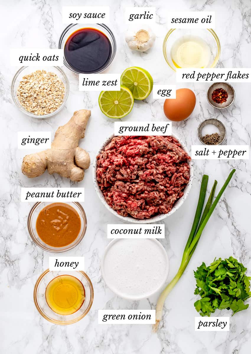 Ingredients to make the asian meatballs recipe with labels