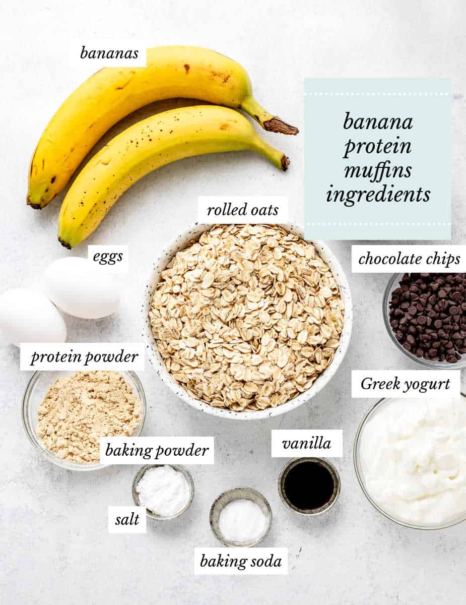 ingredients for the protein muffins on a grey background with labels