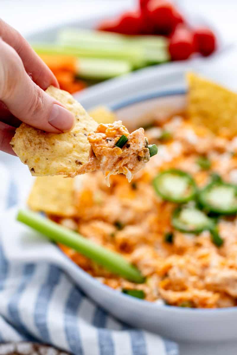 A hand holding a tortilla chip with buffalo chicken dip on it.