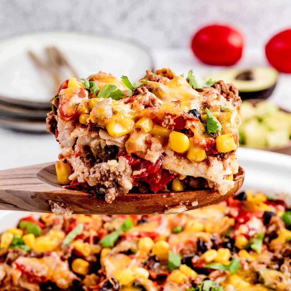 https://www.hauteandhealthyliving.com/wp-content/uploads/2023/06/easy-Mexican-casserole-with-tortillas-14-1.jpg