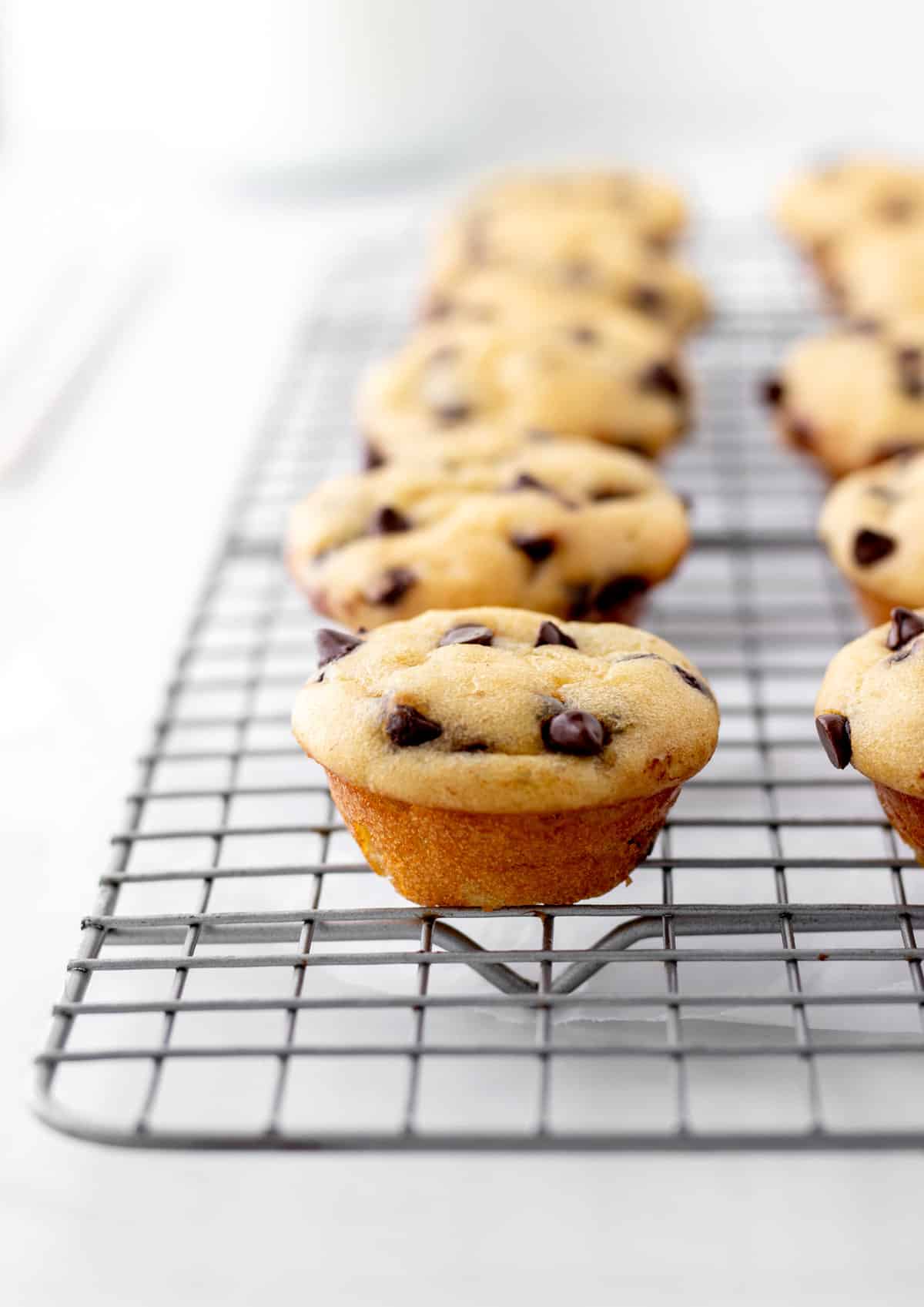 Close up image of mini chocolate chip muffins on a cooling rack.
