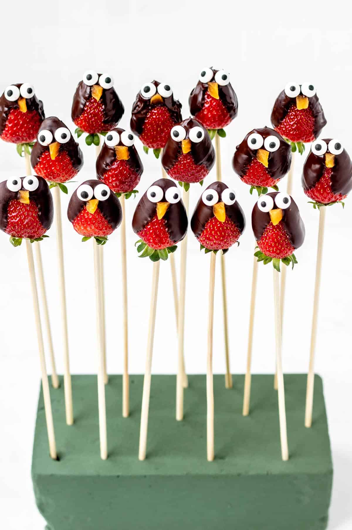 Chocolate covered strawberry penguins on sticks poking out of a foam block.